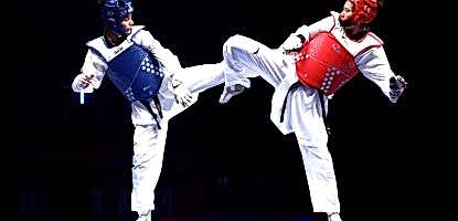 WAYCHAMP ARTIK TÜRKİYE'DE