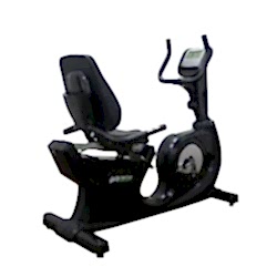 ZP1100 Yatay Bisiklet 